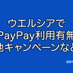 ウエルシア　PayPay