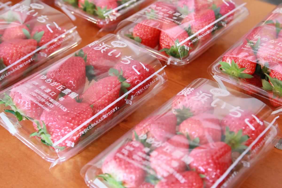 Yokohama Strawberry Festival
