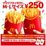 マクドナルドマックフライポテト250円