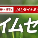 JAL タイムセール