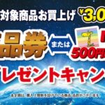 イトーヨーカドー、対象品購入レシート3,000円ごと商品券かnanacoチャージ500円分プレゼントキャンペーン開催中（9月2日(月)〜9月29日(日)