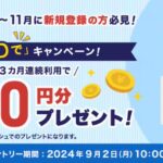 ANA Pay新規登録月から3ヶ月iD決済5000円以上連続利用で最大1,000円分プレゼント。9月2日(月)～11月29日(金)。10月/11月/12月か11月/12月/2025年1月の3ヶ月