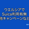 ウエルシア　suica